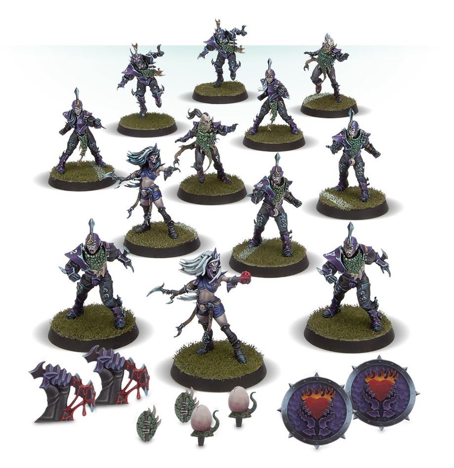 Warhammer: Dark Elf Blood Bowl Team Naggaroth Nightmares